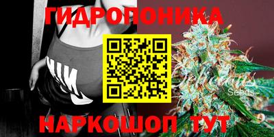 прущие крисы Шебекино