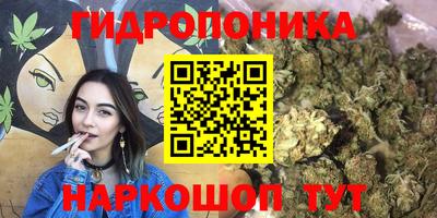 прущие крисы Шебекино