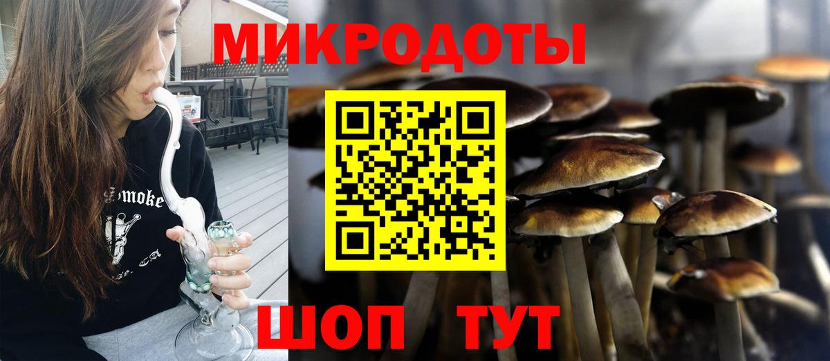 Псилоцибиновые грибы Magic Shrooms Воркута